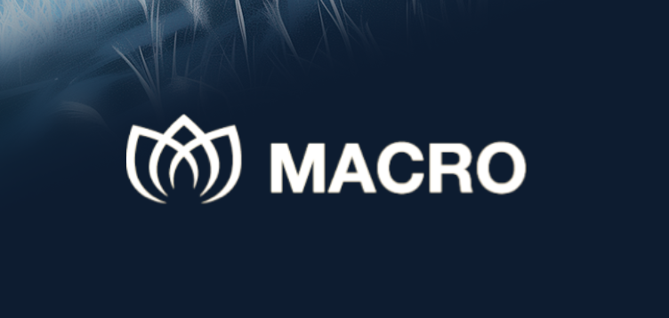 黄金交易平台哪家强？Macro巨汇、金荣中国等平台全面评测