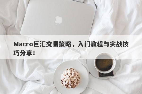Macro巨汇交易策略，入门教程与实战技巧分享！
