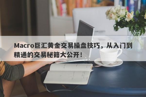 Macro巨汇黄金交易操盘技巧，从入门到精通的交易秘籍大公开！
