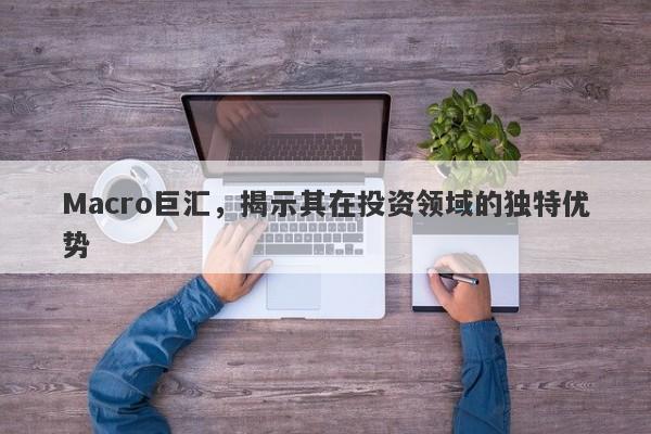 Macro巨汇，揭示其在投资领域的独特优势