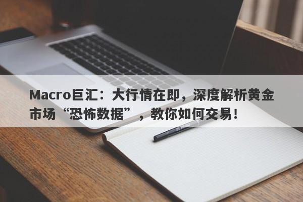 Macro巨汇：大行情在即，深度解析黄金市场“恐怖数据”，教你如何交易！