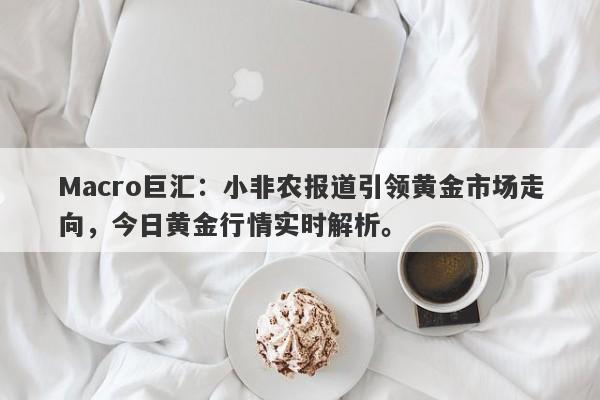 Macro巨汇：小非农报道引领黄金市场走向，今日黄金行情实时解析。
