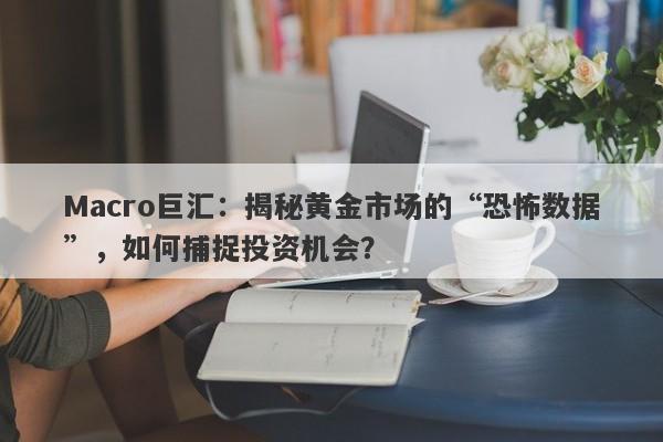 Macro巨汇：揭秘黄金市场的“恐怖数据”，如何捕捉投资机会？