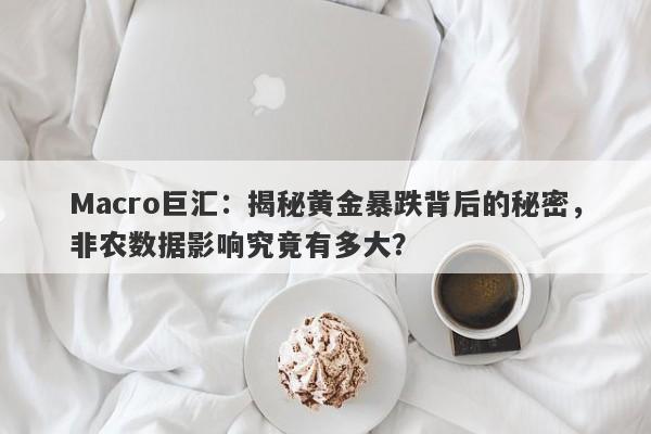 Macro巨汇：揭秘黄金暴跌背后的秘密，非农数据影响究竟有多大？