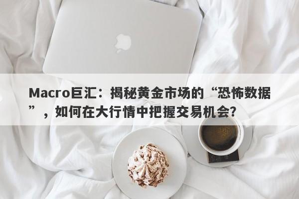 Macro巨汇：揭秘黄金市场的“恐怖数据”，如何在大行情中把握交易机会？