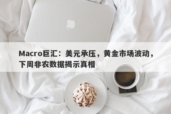 Macro巨汇：美元承压，黄金市场波动，下周非农数据揭示真相
