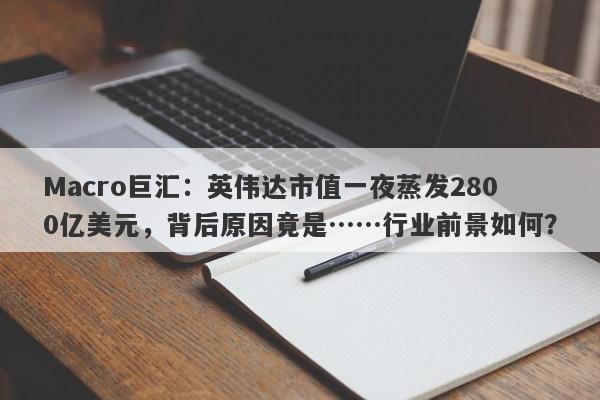 Macro巨汇：英伟达市值一夜蒸发2800亿美元，背后原因竟是……行业前景如何？