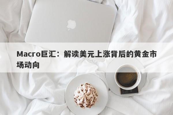 Macro巨汇：解读美元上涨背后的黄金市场动向