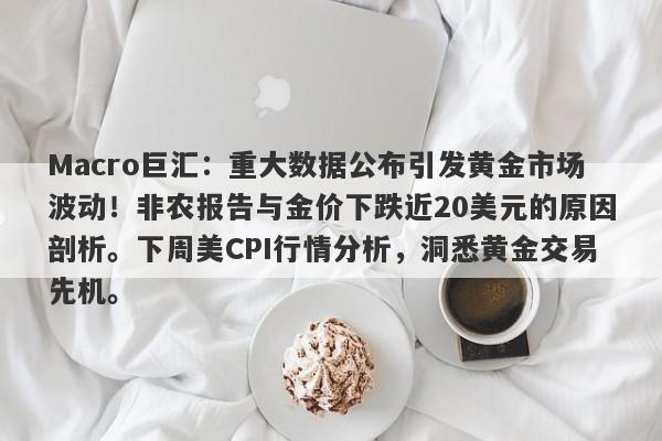 Macro巨汇：重大数据公布引发黄金市场波动！非农报告与金价下跌近20美元的原因剖析。下周美CPI行情分析，洞悉黄金交易先机。