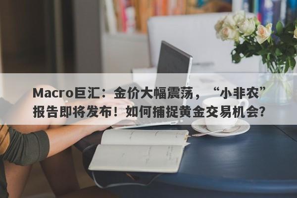 Macro巨汇：金价大幅震荡，“小非农”报告即将发布！如何捕捉黄金交易机会？