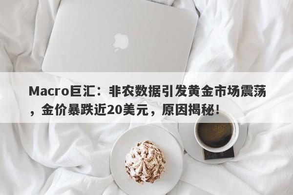 Macro巨汇：非农数据引发黄金市场震荡，金价暴跌近20美元，原因揭秘！