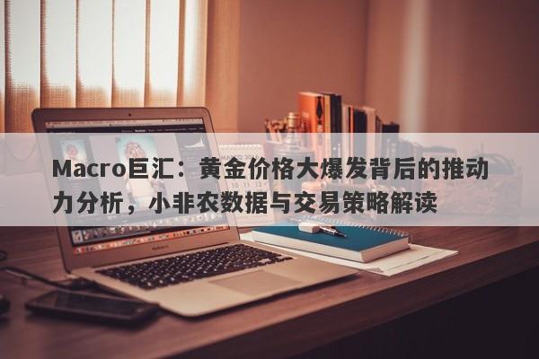 Macro巨汇：黄金价格大爆发背后的推动力分析，小非农数据与交易策略解读
