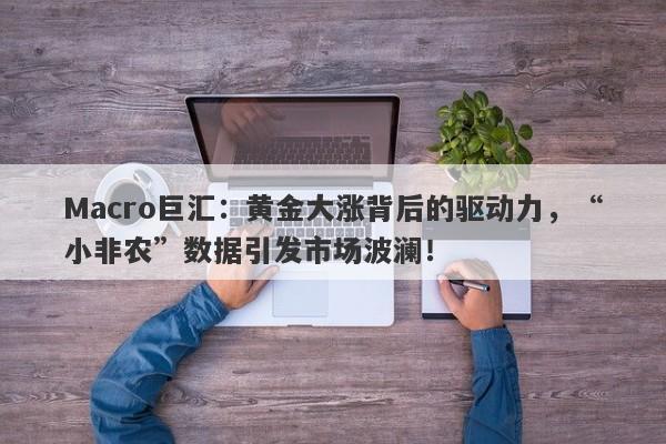 Macro巨汇：黄金大涨背后的驱动力，“小非农”数据引发市场波澜！