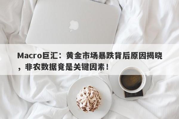 Macro巨汇：黄金市场暴跌背后原因揭晓，非农数据竟是关键因素！