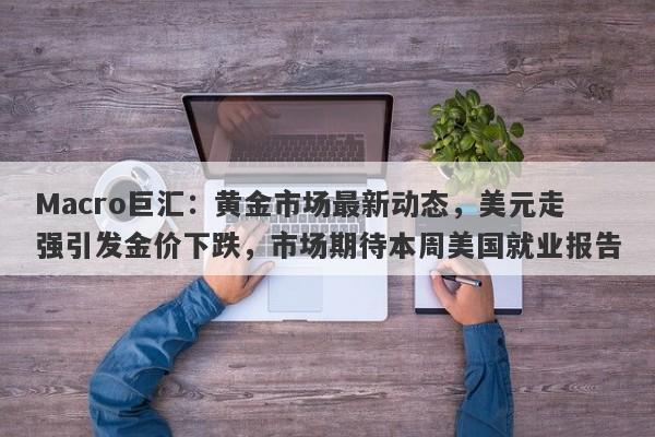 Macro巨汇：黄金市场最新动态，美元走强引发金价下跌，市场期待本周美国就业报告