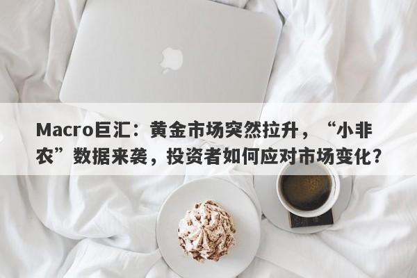 Macro巨汇：黄金市场突然拉升，“小非农”数据来袭，投资者如何应对市场变化？